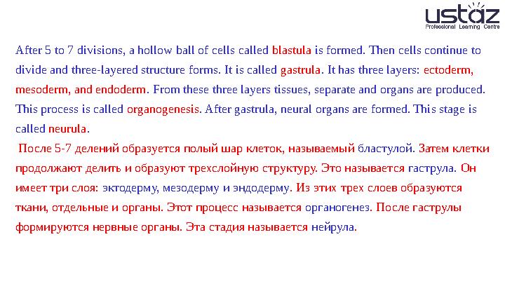 After 5 to 7 divisions, a hollow ball of cells called blastula is formed. Then cells continue to divide and three-layered str