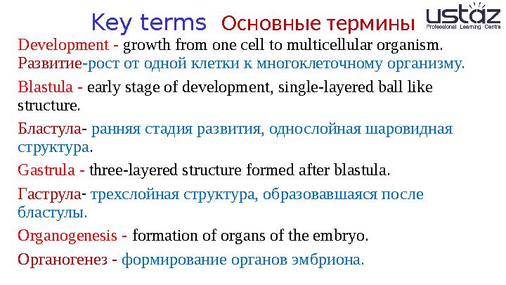 Key terms О сновные термины Development - growth from one cell to multicellular organism. Развитие -рост от одной клетки к