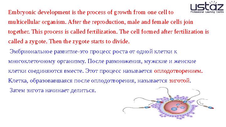 Embryonic development is the process of growth from one cell to multicellular organism. After the reproduction, male and female