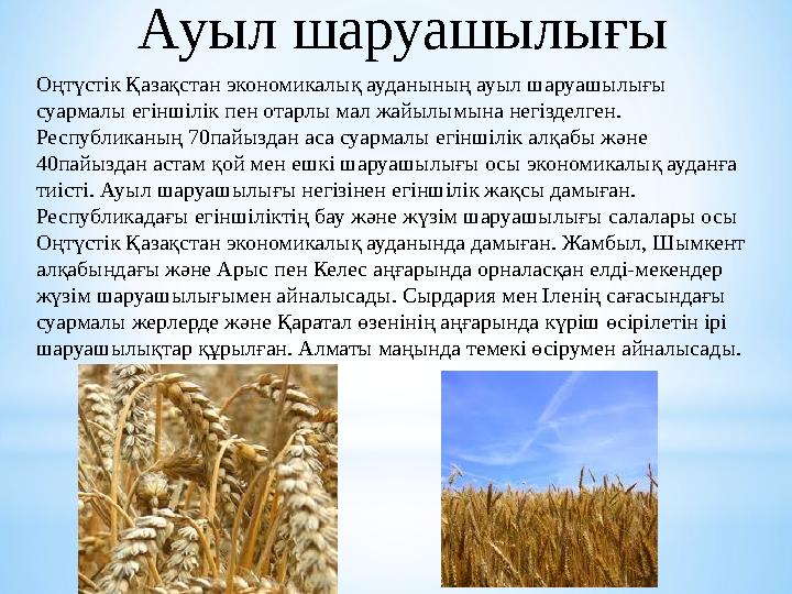 Оңтүстік Қазақстан экономикалық ауданының ауыл шаруашылығы суармалы егіншілік пен отарлы мал жайылымына негізделген. Республик