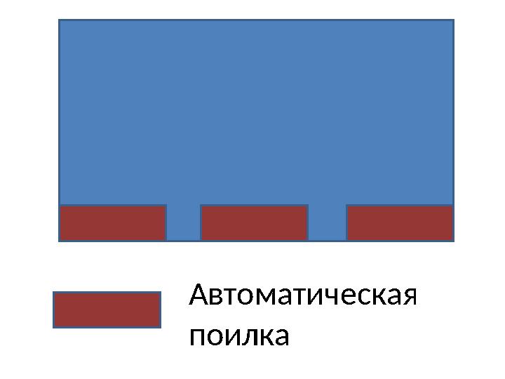 Автоматическая поилка