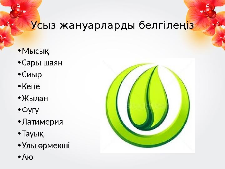 Усыз жануарларды белгілеңіз • Мысық • Сары шаян • Сиыр • Кене • Жылан • Фугу • Латимерия • Тауық • Улы өрмекші • Аю