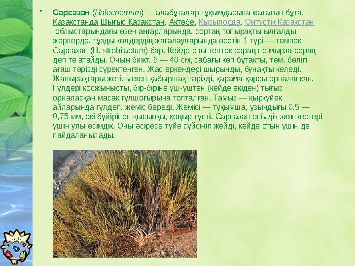 • Сарсазан ( Halocnemum ) — алабұталар тұқымдасына жататын бұта. Қазақстанда Шығыс Қазақстан , Ақтөбе , Қызылорда , Оңтү