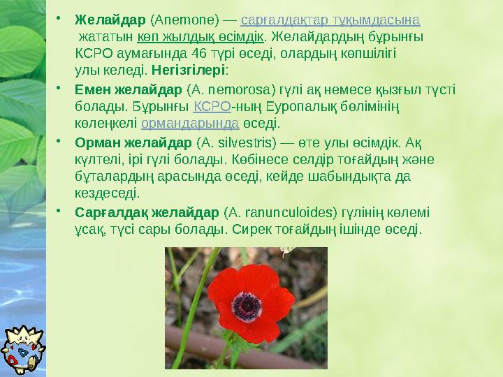 • Желайдар ( Anemone) — сарғалдақтар тұқымдасына жататын көп жылдық өсімдік . Желайдардың бұрынғы КСРО аумағында 46 түрі өс