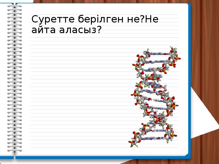 Суретте берілген не?Не айта аласыз?