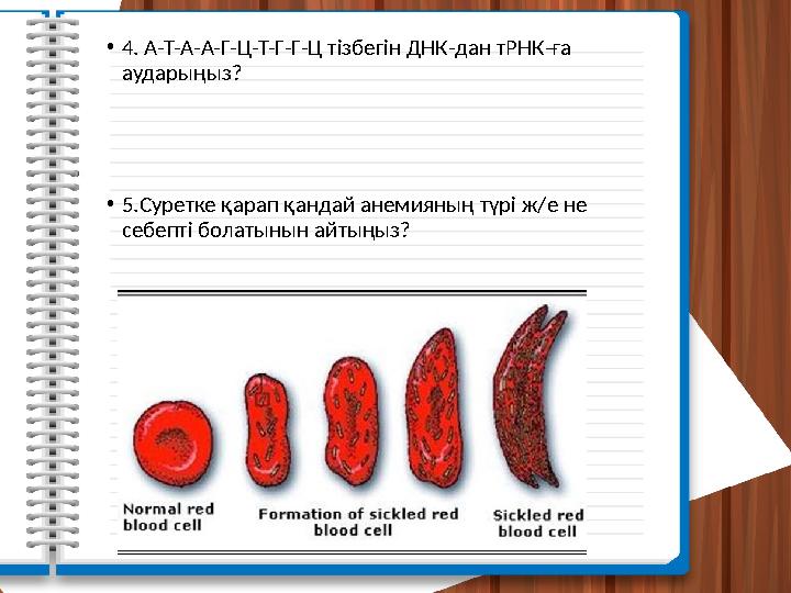 • 4. А-Т-А-А-Г-Ц-Т-Г-Г-Ц тізбегін ДНК-дан тРНК-ға аударыңыз? • 5.Суретке қарап қандай анемияның түрі ж/е не себепті болатынын