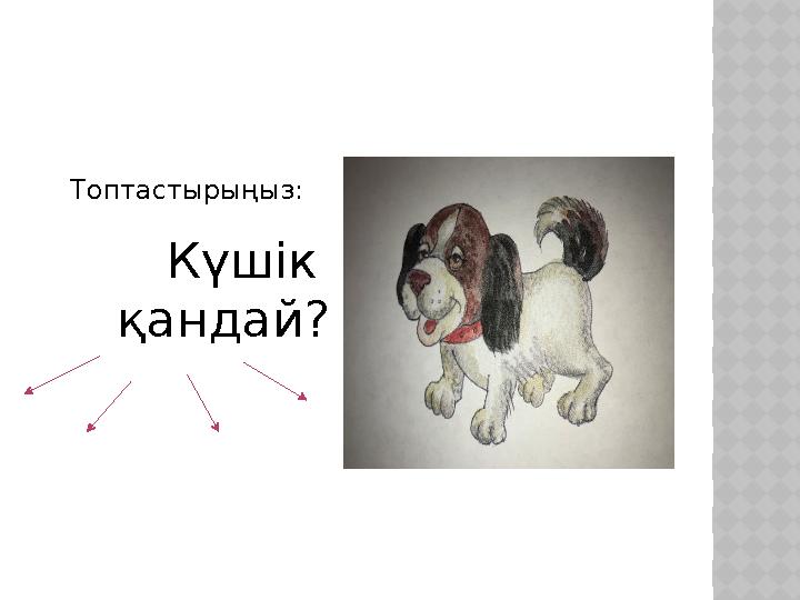 Топтастырыңыз: Күшік қандай?