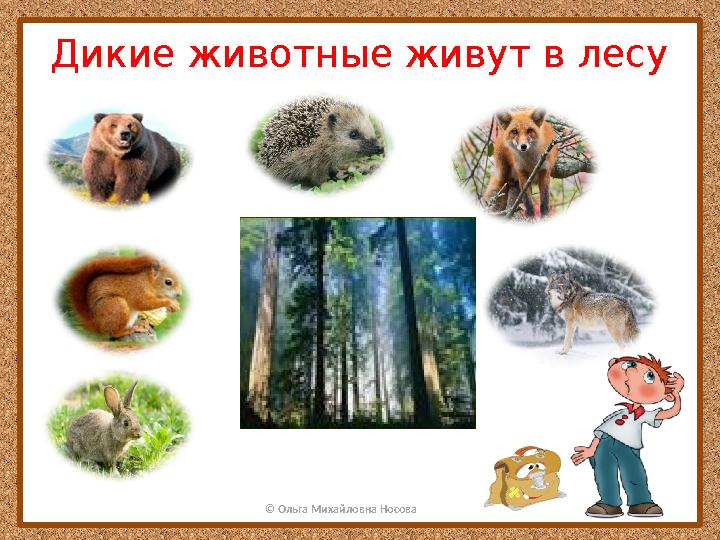 © Ольга Михайловна НосоваДикие животные живут в лесу