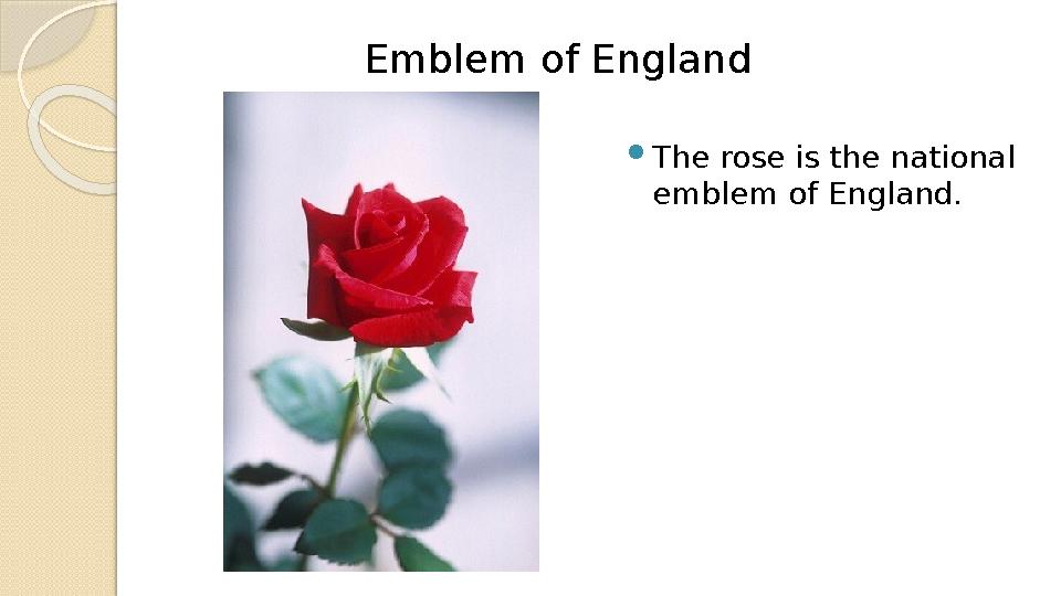  The rose is the national emblem of England . Emblem of England