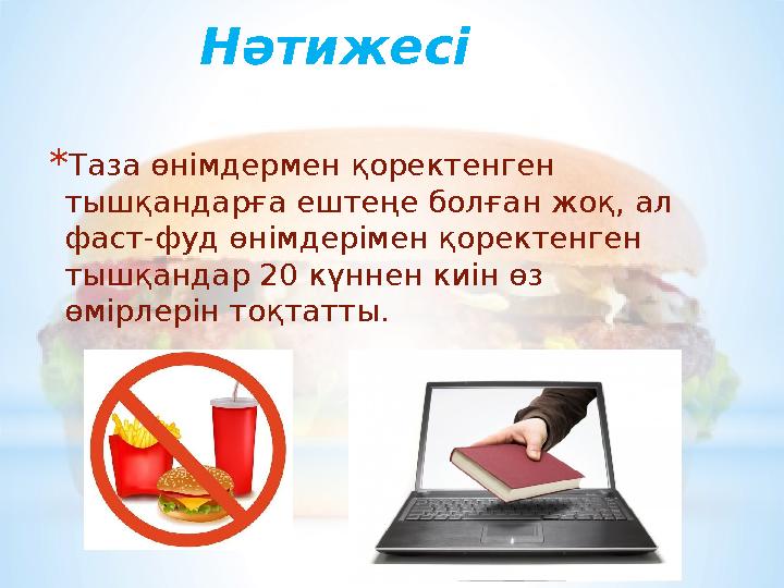 Нәтижесі * Таза өнімдермен қоректенген тышқандарға ештеңе болған жоқ, ал фаст-фуд өнімдерімен қоректенген тышқандар 20 күннен