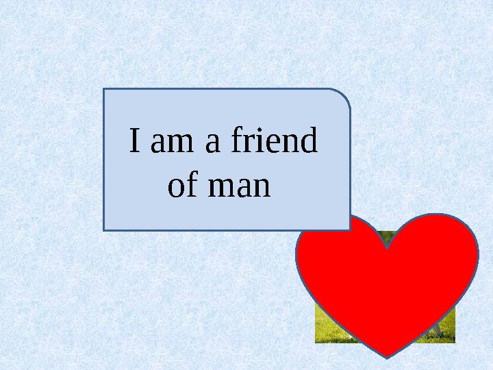 I am a friend of man