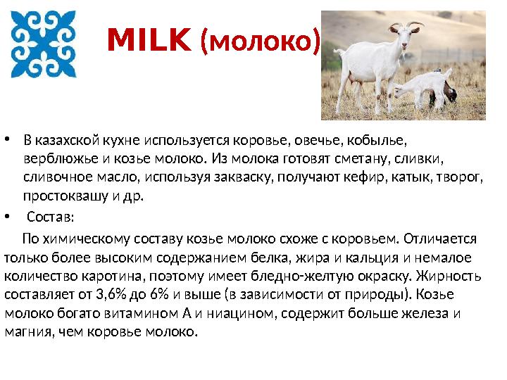 MILK (молоко) • В казахской кухне используется коровье, овечье, кобылье, верблюжье и козье молоко. Из молока готовят сметану,