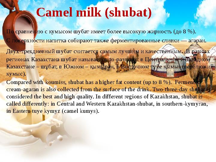 Camel milk (shubat) По сравнению с кумысом шубат имеет более высокую жирность (до 8 %). С поверхности напитка собирают также ф