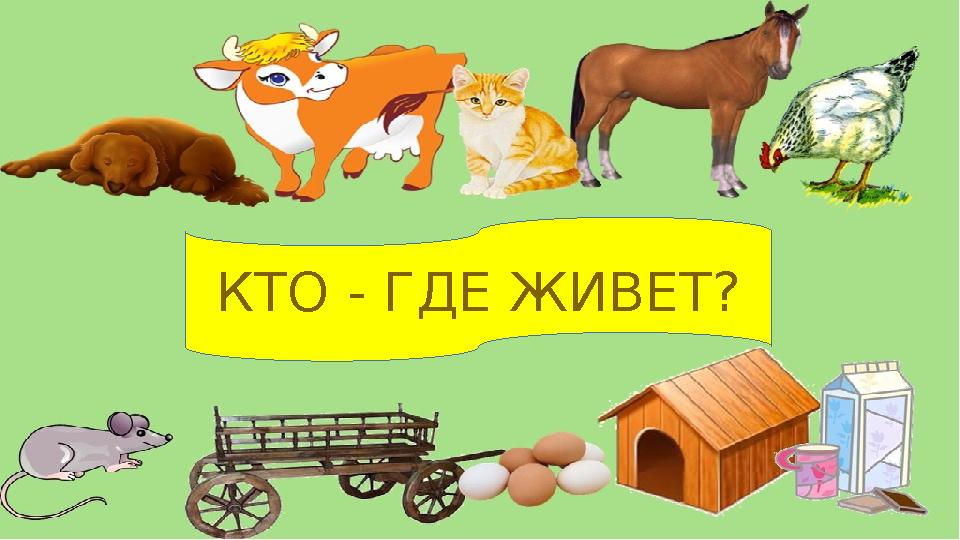 КТО - ГДЕ ЖИВЕТ?