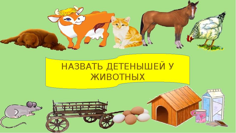 НАЗВАТЬ ДЕТЕНЫШЕЙ У ЖИВОТНЫХ