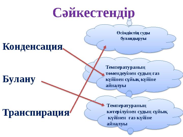 Дәретханада көзілдірік киген аққұбаның порно видеосы