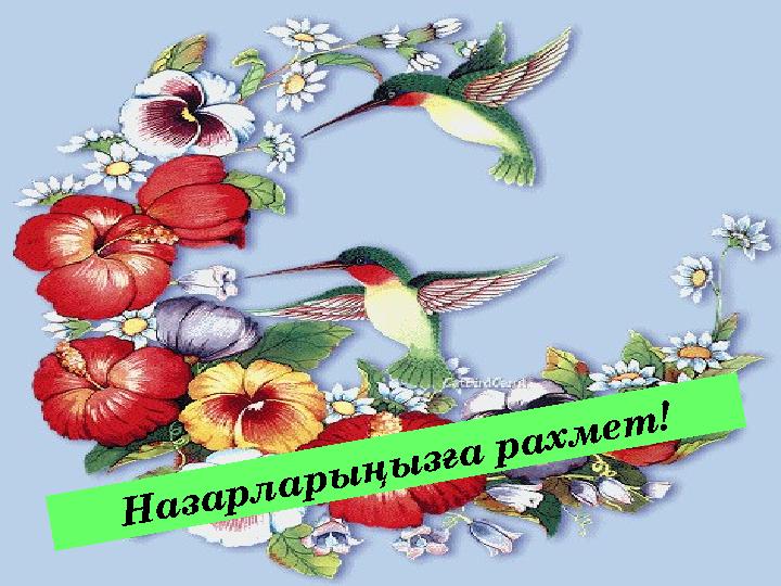 Н а з а р л а р ы ң ы з ғ а р а х м е т !