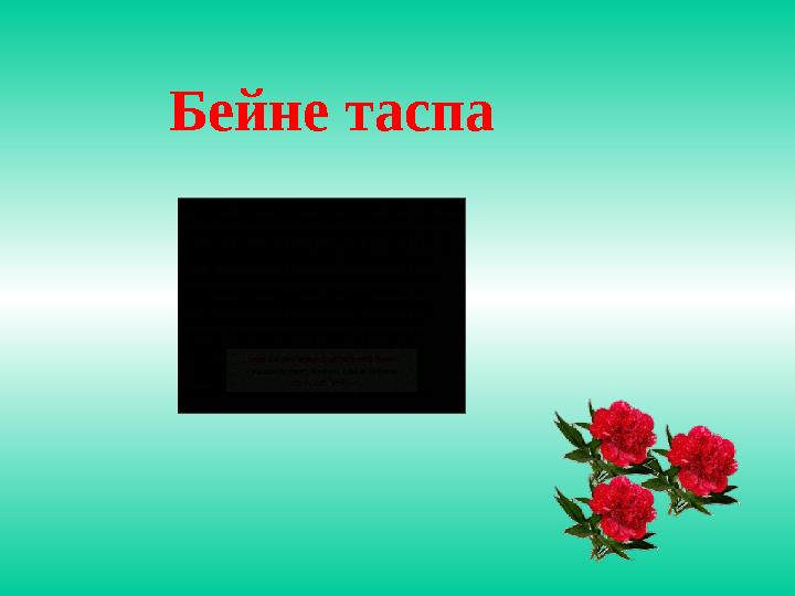 Бейне таспа