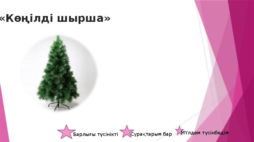 «Көңілді шырша» Барлығы түсінікті Сұрақтарым бар МҮлдем түсінбедім