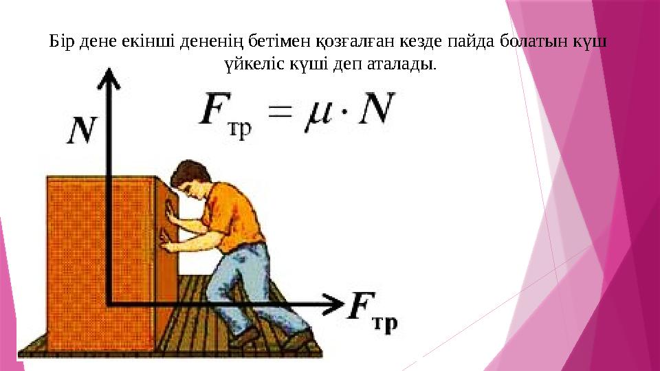 Үнділер арасындағы еркек жыныс мүшесі