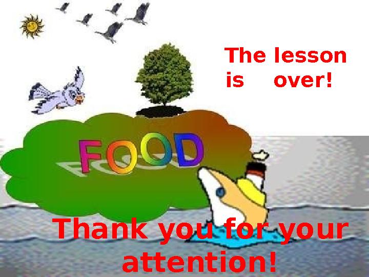 Thank you for your attention! The lesson is over!