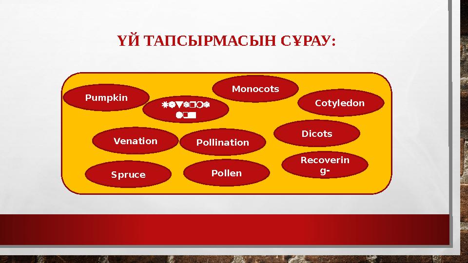ҮЙ ТАПСЫРМАСЫН СҰРАУ: Cotyledon DicotsMonocots PollenPollinationPumpkin Recoverin g- Spruce Venation Waterme lon
