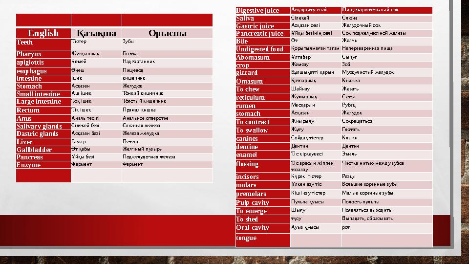 English Қазақша Орысша Teeth Тістер Зубы Pharynx Жұтқыншақ Глотка apiglottis Көмей Надгортанник esophagus Өңеш Пищевод inte