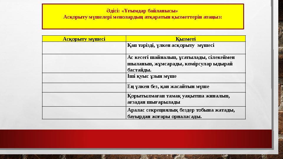 Әдісі: «Ұғымдар байланысы» Асқорыту мүшелері менолардың атқаратын қызметтерін атаңыз: А сқорыту мүшесі Қызметі Қап тәрізді, үлк