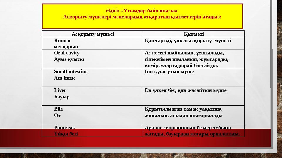 Әдісі: «Ұғымдар байланысы» Асқорыту мүшелері менолардың атқаратын қызметтерін атаңыз: А сқорыту мүшесі Қызметі Rumen месқарын Қ