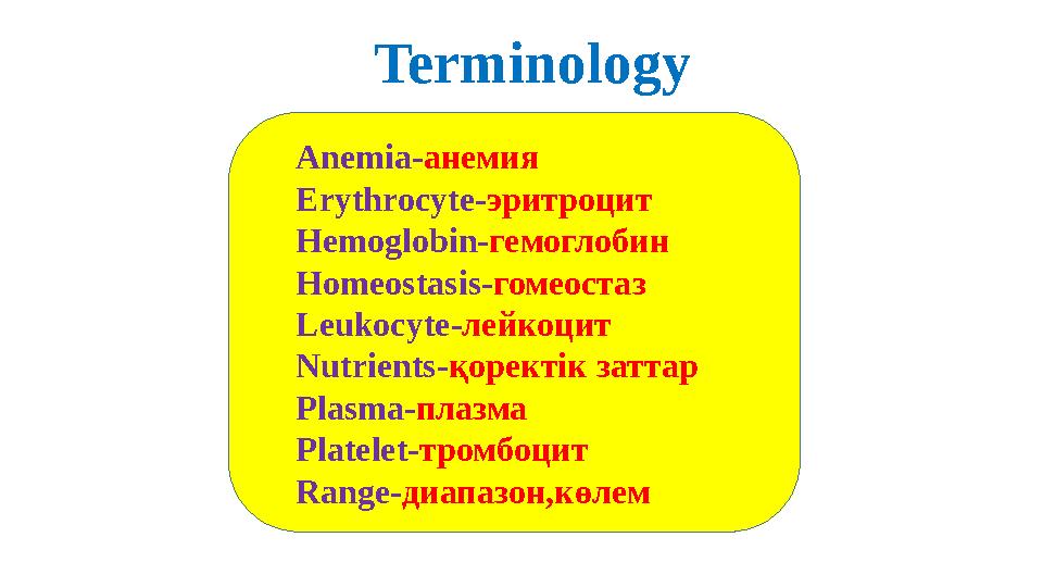 Terminology Anemia- анемия Erythrocyte- эритроцит Hemoglobin- гемоглобин Homeostasis- гомеостаз Leukocyte- лейкоцит Nutrients- қ