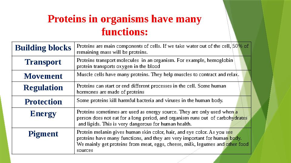 Proteins in organisms have many functions: Building blocks Proteins are main components of cells. If we take water out of the