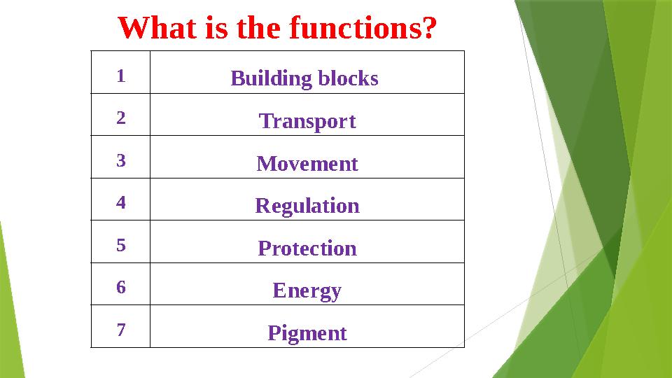 What is the functions? 1 Building blocks 2 Transport 3 Movement 4 Regulation 5 Protection 6 Energy 7 Pigment