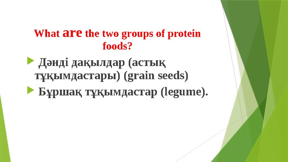 What are the two groups of protein foods?  Дәнді дақылдар (астық тұқымдастары) ( grain seeds )  Бұршақ тұқымдастар (