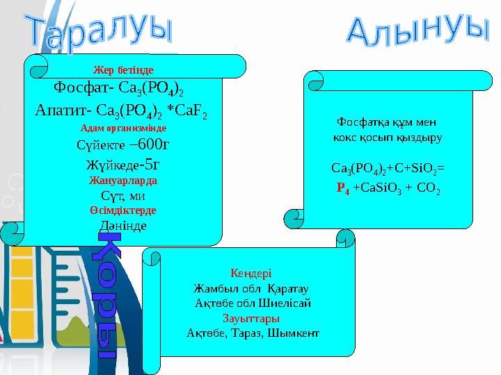Жер бетінде Фосфат - Ca 3 (PO 4 ) 2 Апатит - Ca 3 (PO 4 ) 2 *CaF 2 Адам организмінде Сүйекте –600г Жүйкеде -5г Жануарл