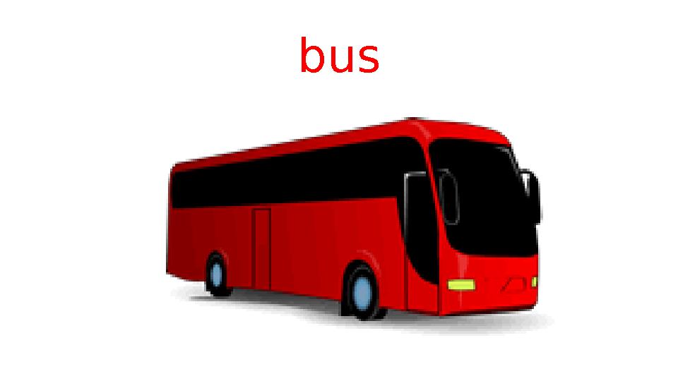 bus