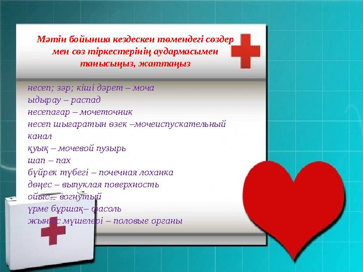 Мәтін бойынша кездескен төмендегі сөздер мен сөз тіркестерінің аудармасымен танысыңыз, жаттаңыз несеп; зәр; кіші дәрет – моча