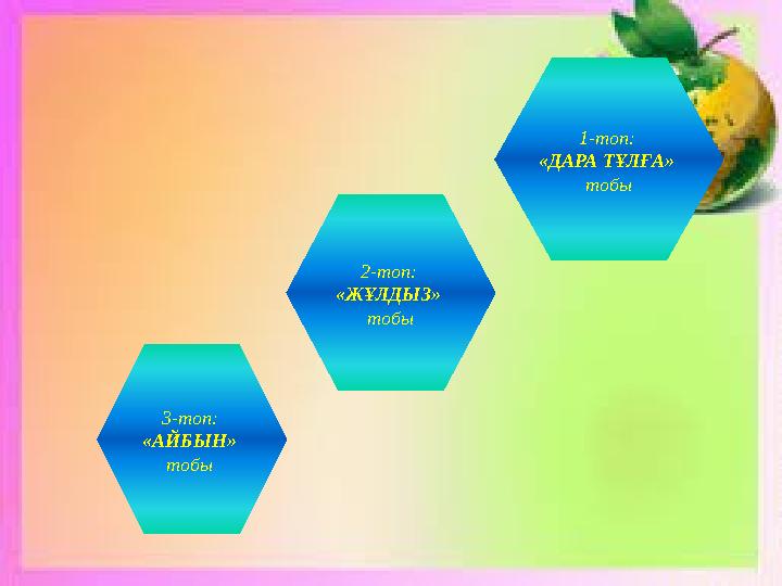1-топ: «ДАРА ТҰЛҒА» тобы 2-топ: «ЖҰЛДЫЗ» тобы 3-топ: «АЙБЫН» тобы