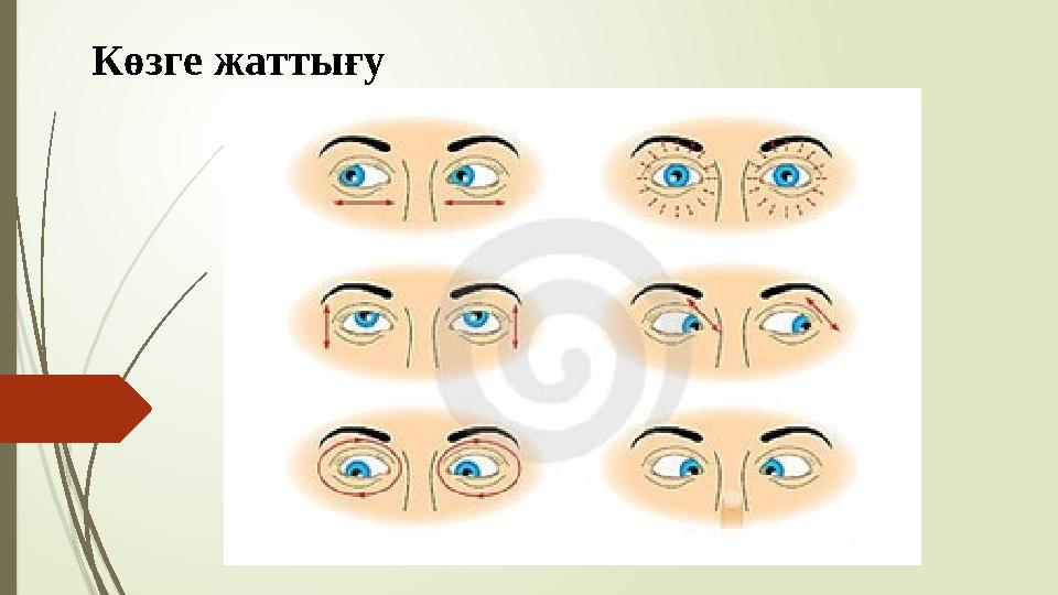 Көзге жаттығу