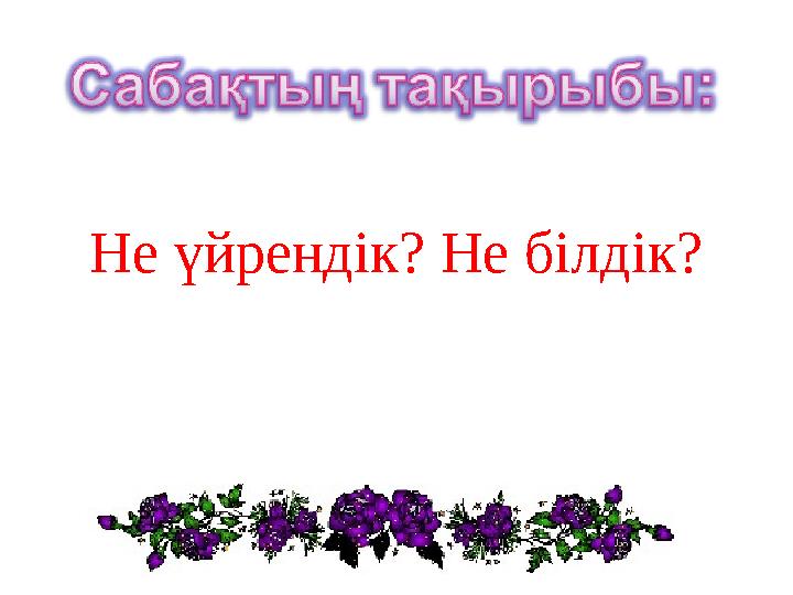 Не үйрендік? Не білдік?