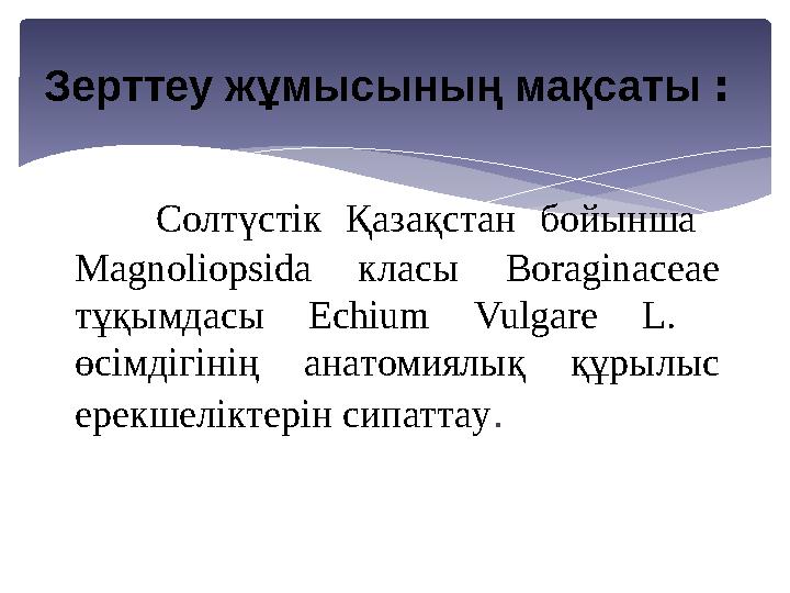Солтүстік Қaзaқстaн бойыншa Magnoliopsidа клaсы Boraginaceae тұқымдасы Echium Vulgare L. өсімдігінің aнaтомиялық құрылы