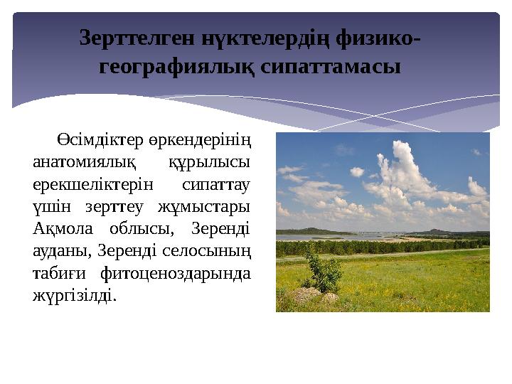 Өсімдіктер өркендерінің анатомиялық құрылысы ерекшеліктерін сипаттау үшін зерттеу жұмыстары Ақмола облысы, Зеренді