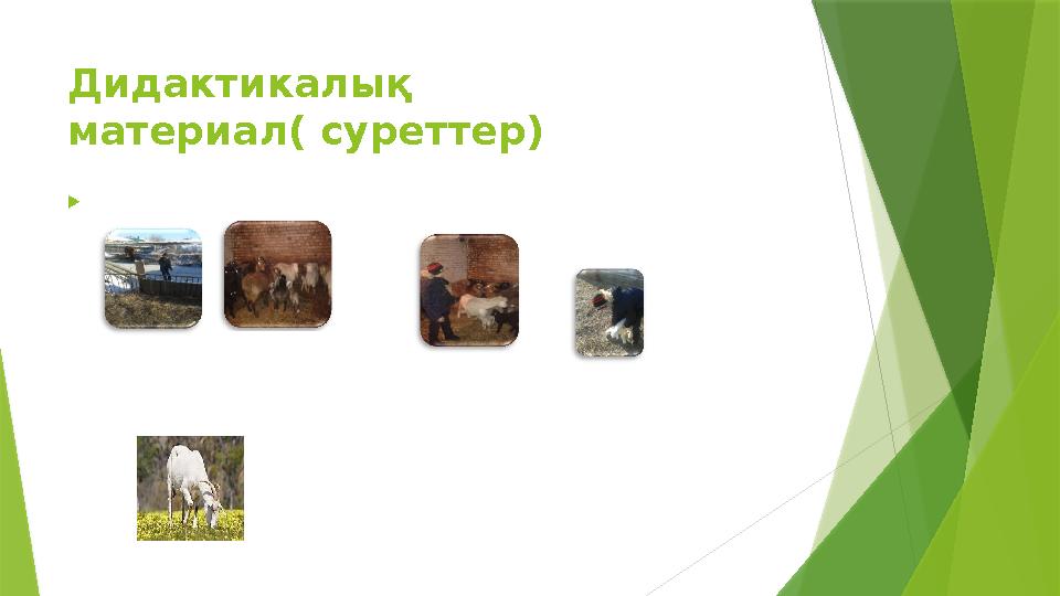  Дидактикалық материал( суреттер)