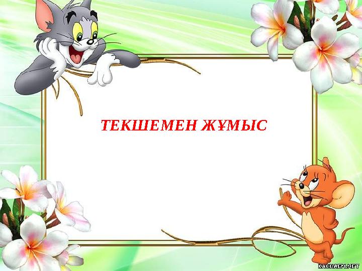 ТЕКШЕМЕН ЖҰМЫС