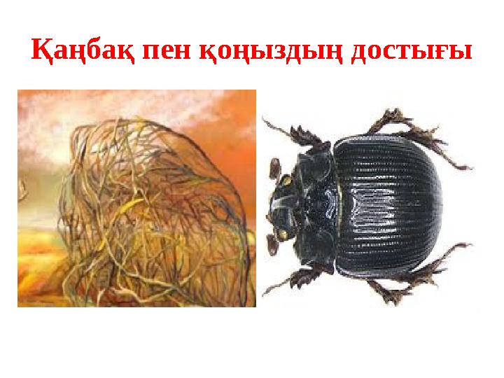 Қаңбақ пен қоңыздың достығы