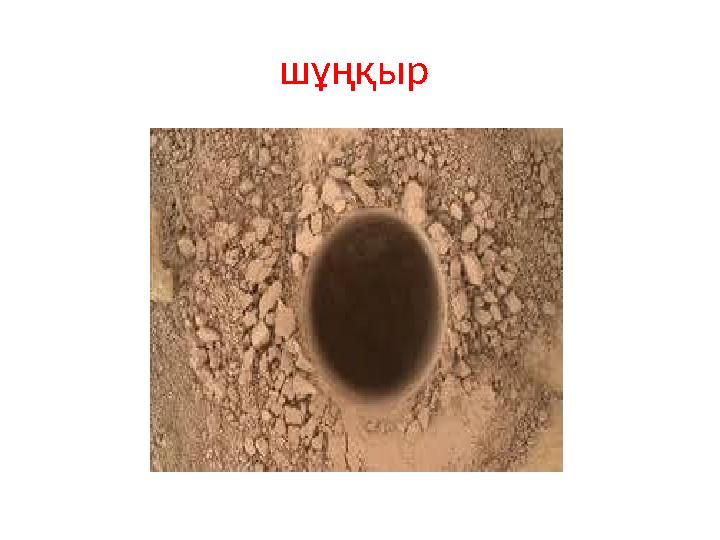 шұңқыр
