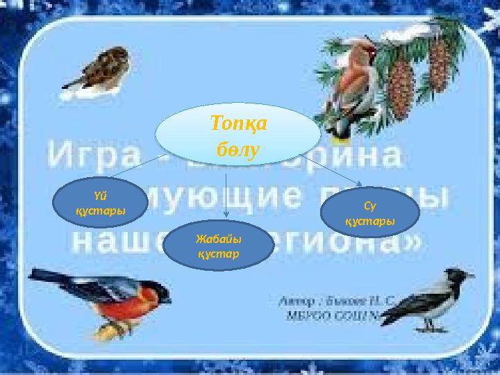 Топқа бөлу Үй құстары Жабайы құстар Су құстары