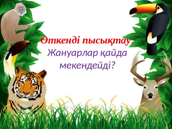 Өткенді пысықтау: Жануарлар қайда мекендейді?