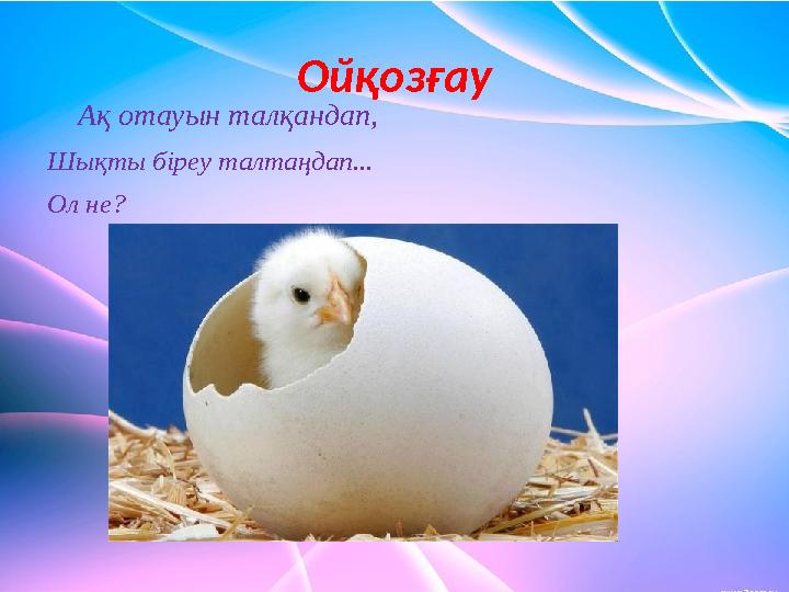 Ойқозғау Ақ отауын талқандап, Шықты біреу талтаңдап... Ол не?