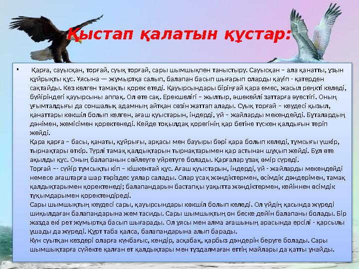 Қыстап қалатын құстар: • Қарға, сауысқан, торғай, суық торғай, сары шымшықпен таныстыру. Сауысқан – ала қанатты, ұзын құйрықты