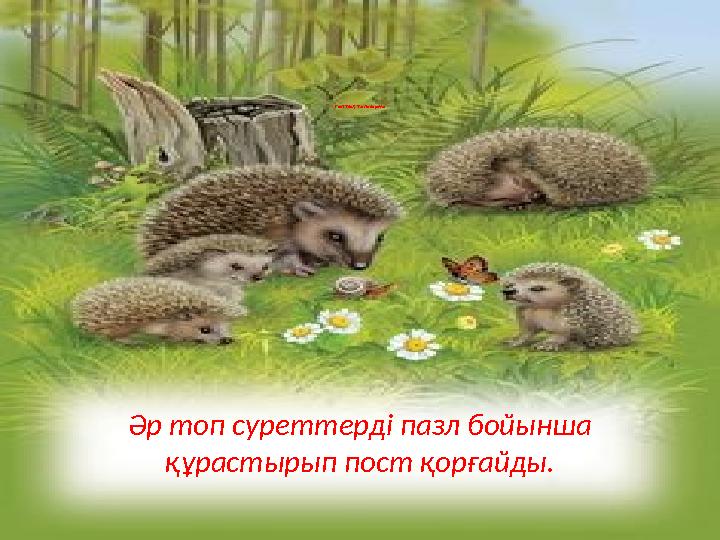 Топтық тапсырма Әр топ суреттерді пазл бойынша құрастырып пост қорғайды.
